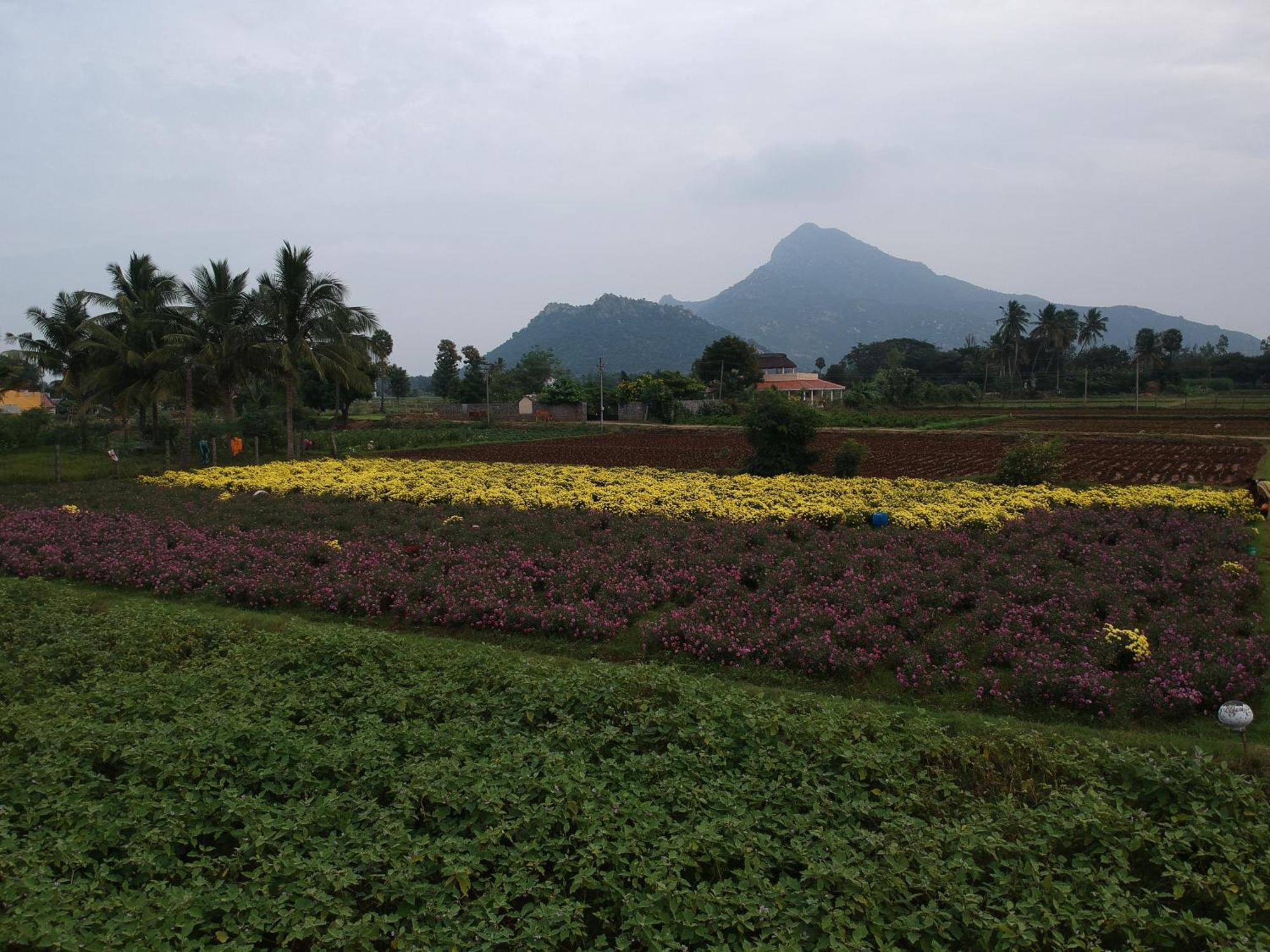 Rpm Home Stay Tiruvannāmalai Exteriér fotografie